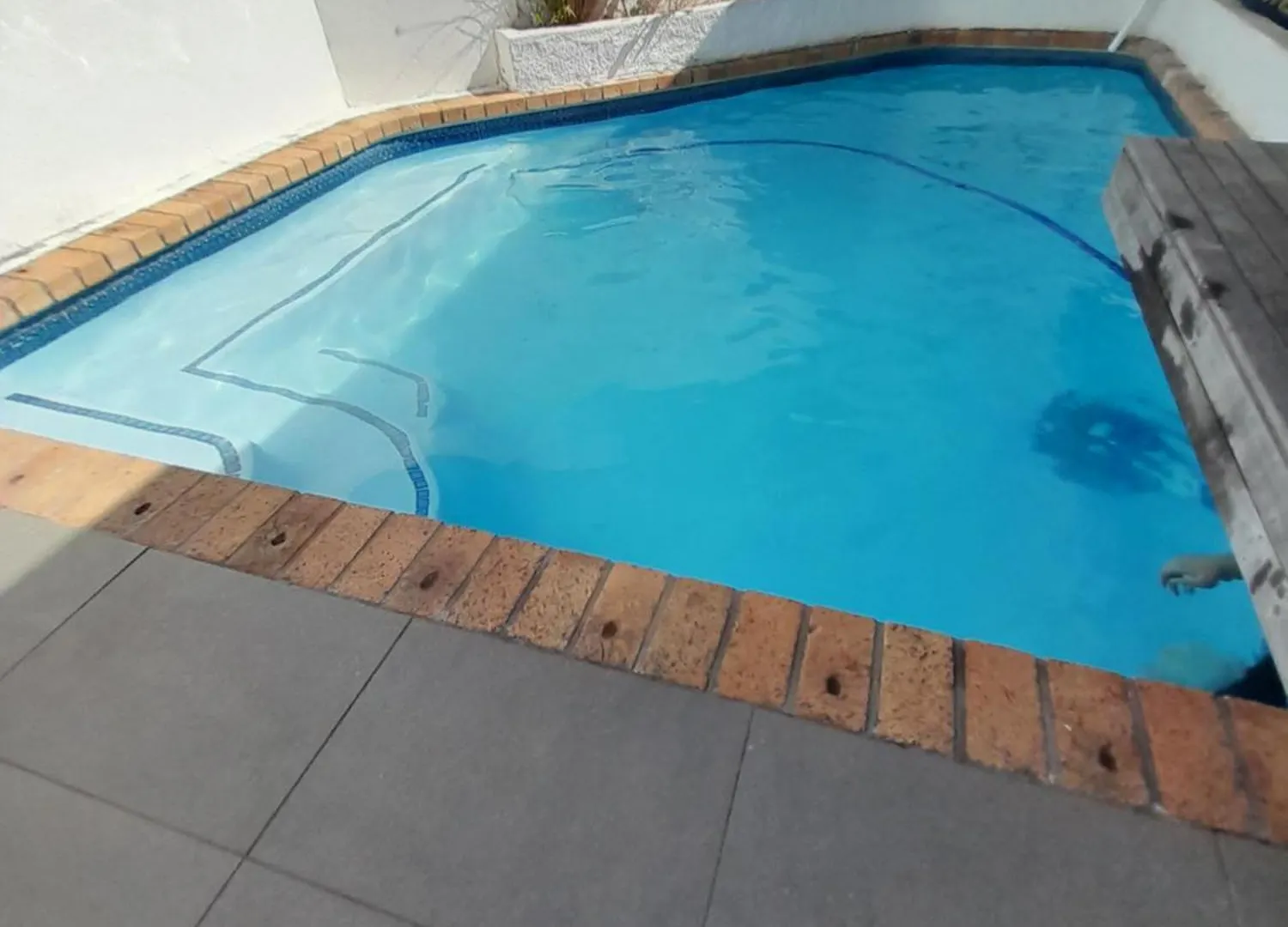 ** Guest house 20 Belladonna Avenue Vredehoek Cape Town South Africa