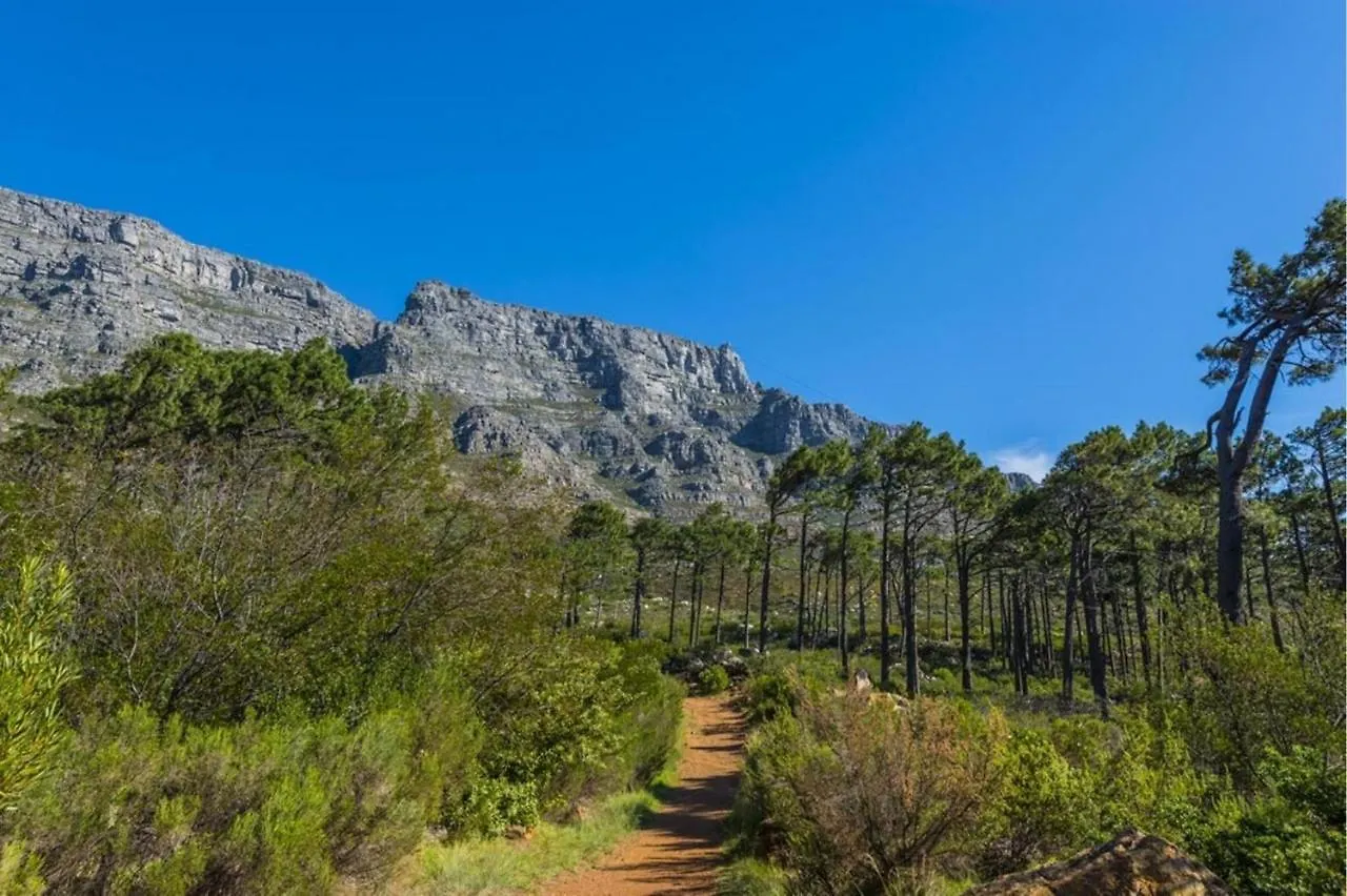Guest house 20 Belladonna Avenue Vredehoek Cape Town